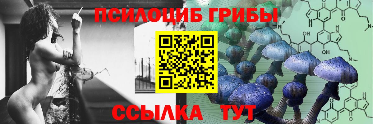 Галлюциногенные грибы Magic Shrooms Тобольск